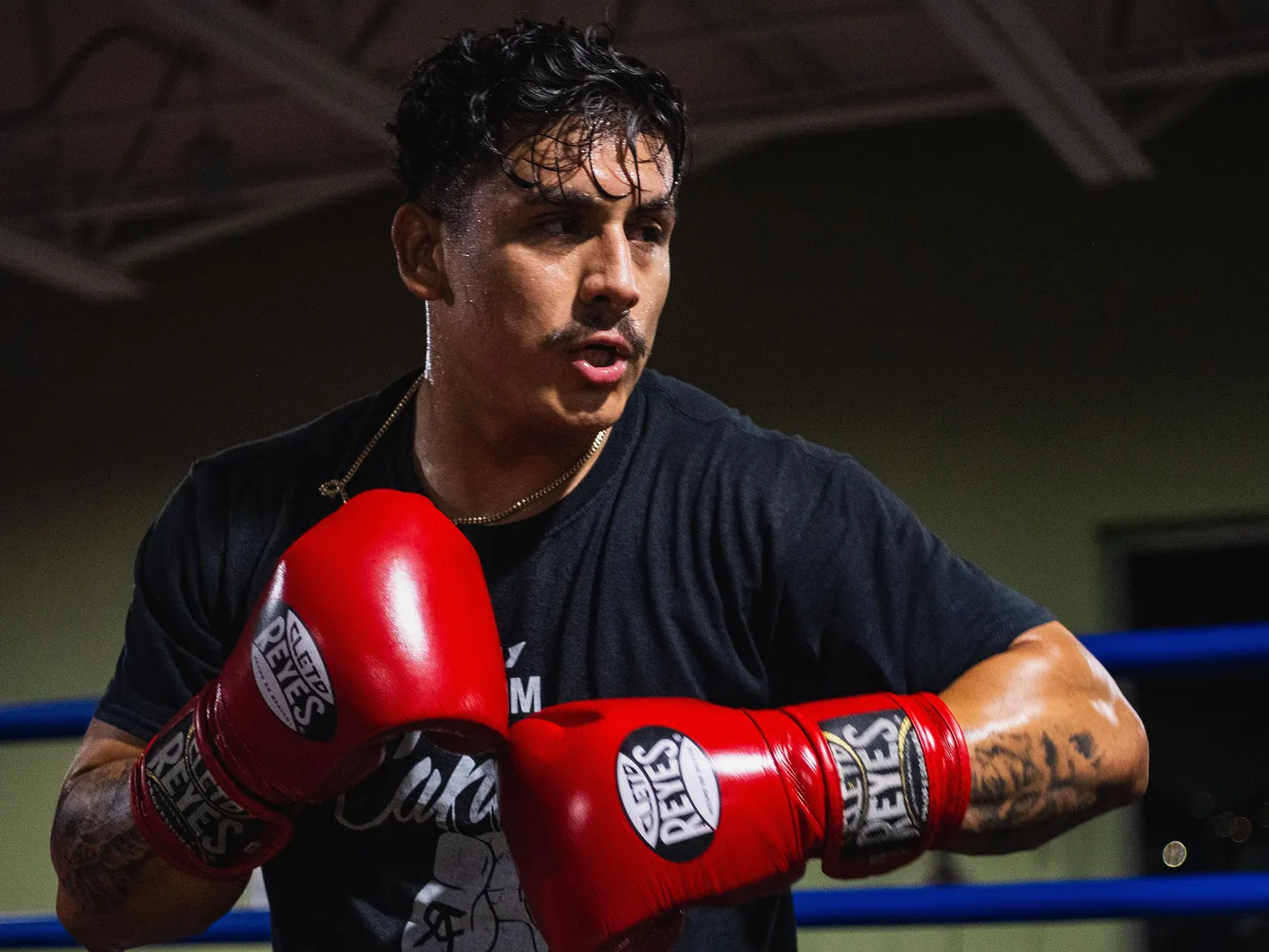 Trening na łapach w ringu, Ring Boxing Club