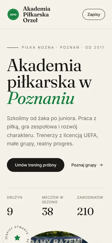 Szablon Arena: widok na telefonie, Piłka nożna